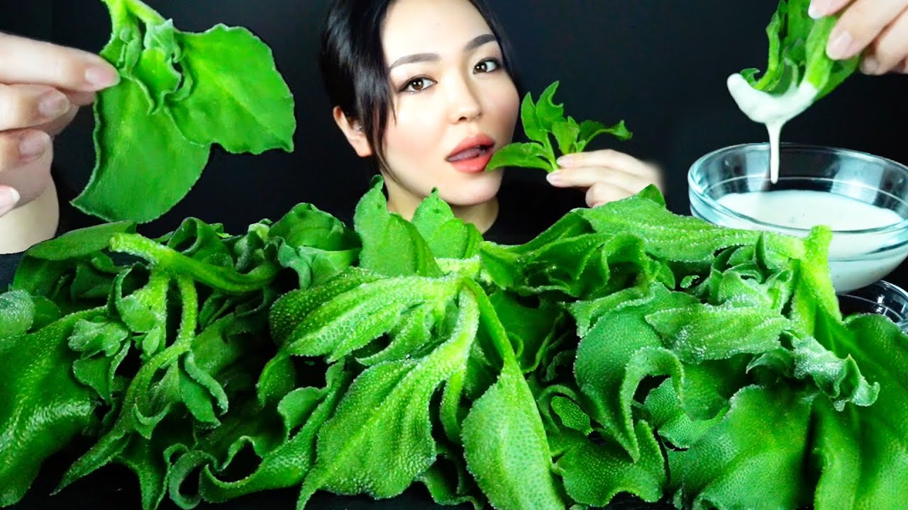 ASMR Ice Plant Лопается! 🪴 | Русские Субтитры | Eating Sounds | Mukbang