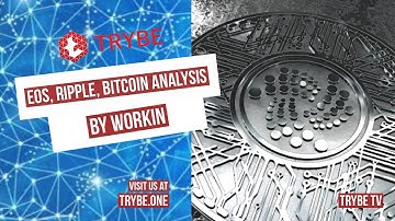 Trybe TV - EOS, Ripple, Ethereum, Bitcoin analysis - By workin