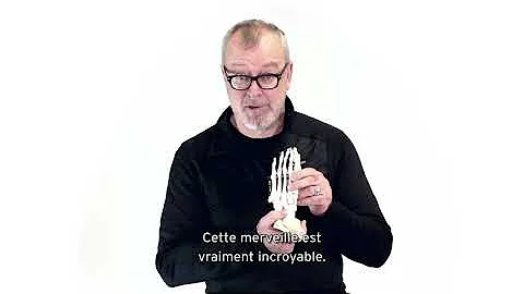 The Foot and Biomechanics of Running Explained by Simon Bartold