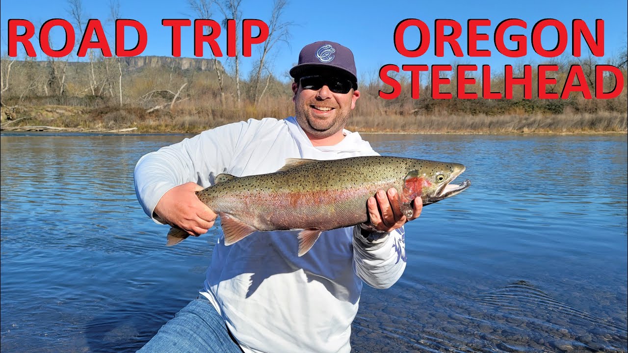 Oregon Steelhead Fishing  Side Drifting Rivers in a Willie Boat 