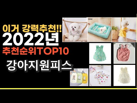 2022년 강아지원피스 강력추천상품 추천순위 top10