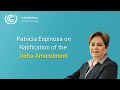 Video message on Ratification of the Doha Amendment