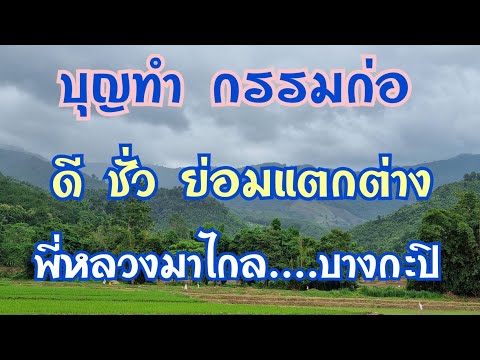 วีดีโอ: ฟังอย่างไตร่ตรองอย่างไร?