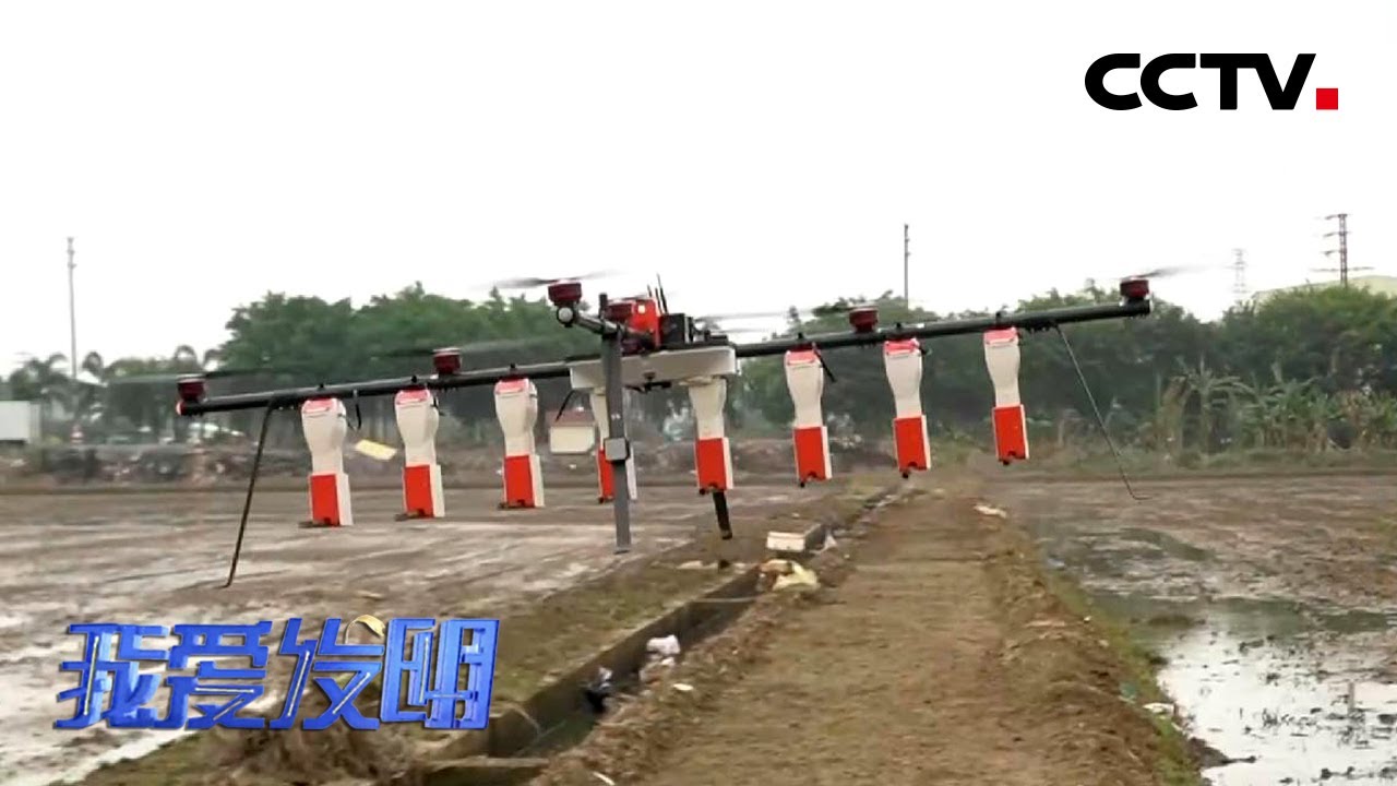 人工插秧成本大 无人飞机来播种 带到天上的种子能否顺利播撒到田里 Cctv 我爱发明 Youtube