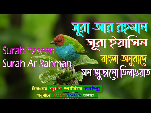 সূরা আর রহমান(Surah Ar Rahman-سورة الرحمن) ও সূরা ইয়াসিন (Surah Yaseen-سورة يس) এর কুরআন তিলাওয়াত class=