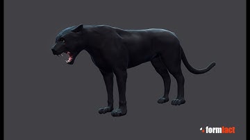 Adding an Panther to my Ork Shaman - Oculus Medium - PART1 -