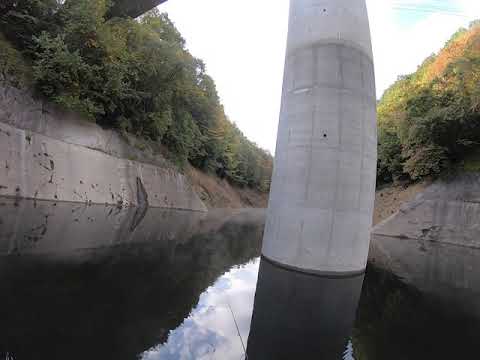 つりどうぐ一休リザーバー福山バス釣り動画 日吉ダム 朝イチ イビキ谷でディスタイル ヴィローラのジグヘッドリグをミドストして ファーストフィッシュをキャッチ Youtube