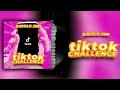 Djsolo Jini TikTok Challenge 
