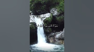 واتس اب قران كريم القارئ ياسر دوسري (سوره التغابن)