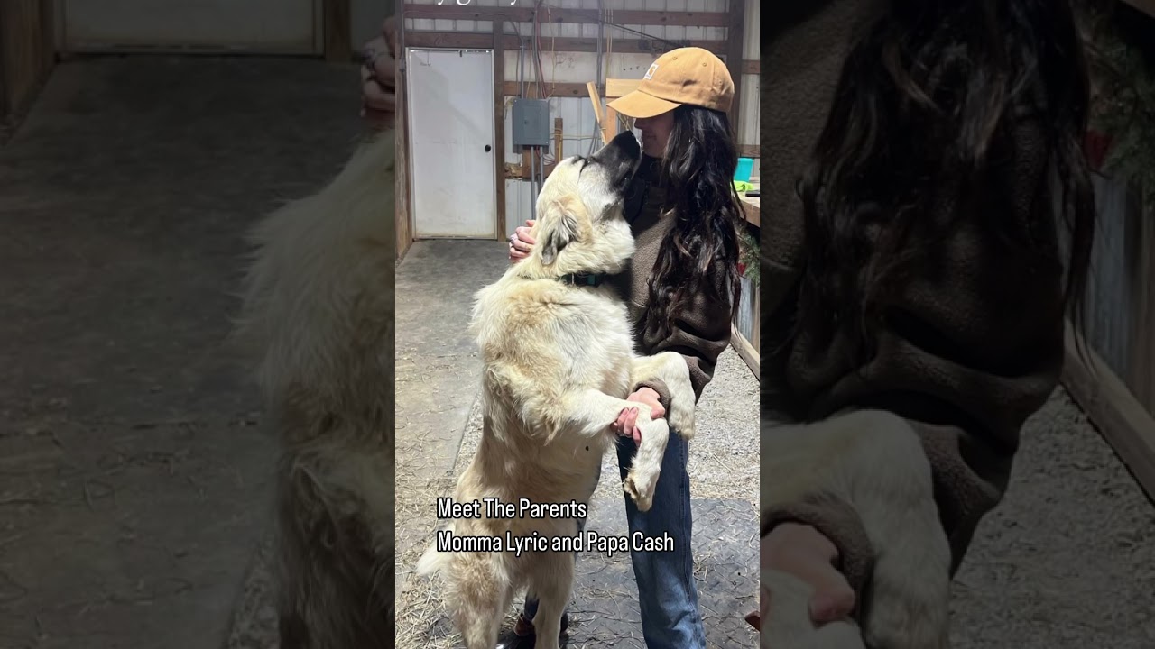 youtube-video-thumbnail
