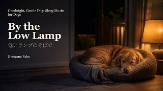 By the Low Lamp | Goodnight, Gentle Dog: Sleep Music for Dogs | Calming Pet Music