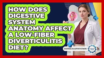 How Does Digestive System Anatomy Affect A Low-fiber Diverticulitis Diet?