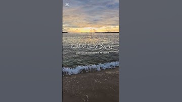 تلاوة خاشعة - عبد الرحمن مسعد #قرآن #تلاوة_خاشعة #viralvideo #اكسبلور