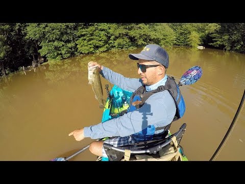 Video: Cómo Pescar En Aguas Tranquilas