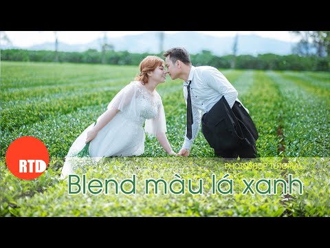 Blend màu lá xanh mướt tự nhiên trong Photoshop!