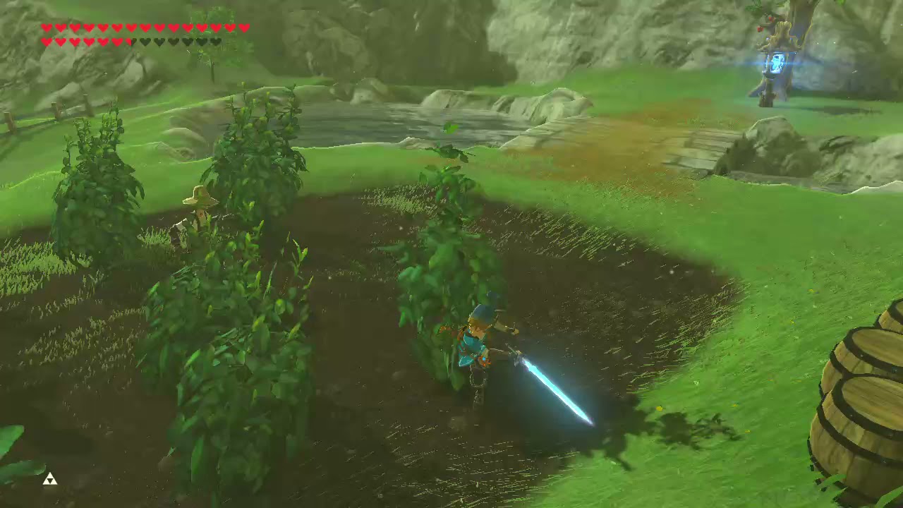 what happens when you cut Medda's plants? BOTW YouTube