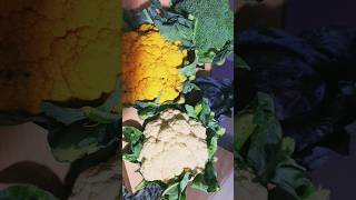 Sizzling Hot Seasonal Delicacies ସଜନଲ ପରବ ଭର ସଆଦଆ