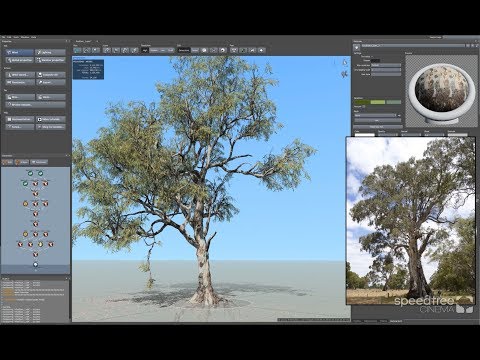 SpeedTree Cinema 8: Time-Lapse Modeling