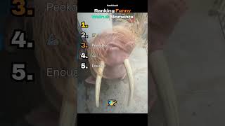 FUNNY WALRUS Moments Ranked