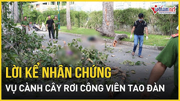 Lời kể bàng hoàng của nhân chứng vụ rơi nhánh cây trong công viên 2 người tử vong | Báo VietNamNet