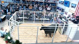 The Classic at Griswold Cattle Co., Stillwater, OK DAY ONE