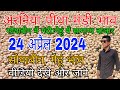        24  2024jaora mandi update bhav today wheat soyabean