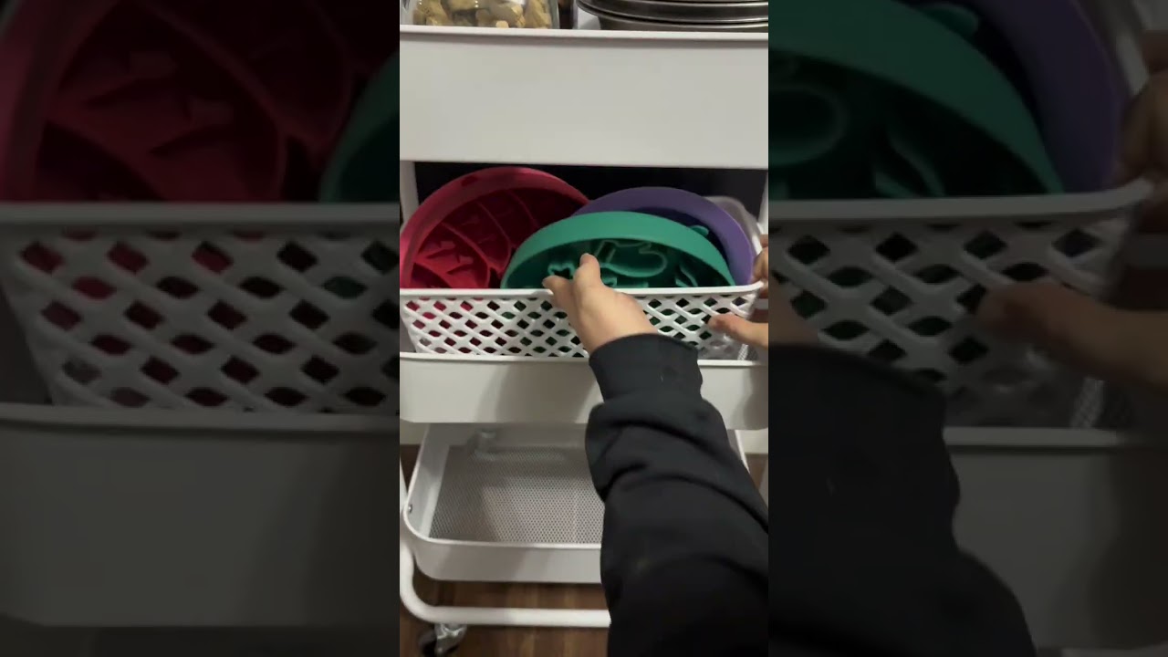 Organizing All My Dog Stuff 🐾 | Walmart Finds 