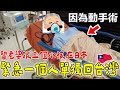 緊急一個人單獨回台灣|留老婆和三個孩子在日本|因為阿公突然的手術