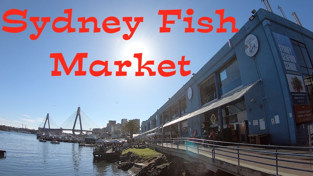 best time to visit sydney fish market