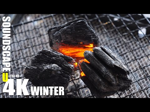 木炭の安らぐ火 & 割れる音 | 4K Binaural ASMR