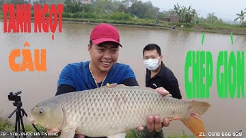 PHỐI MỒI TANH, THƠM, NGỌT CÂU CHÉP GIÒN - TỶ LỆ CỐT ĐƯỜNG ĐEN - PHÚC HÀ FISHING