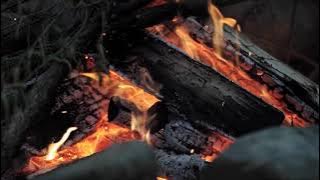 POKONA TIP | Lodwick Wicky