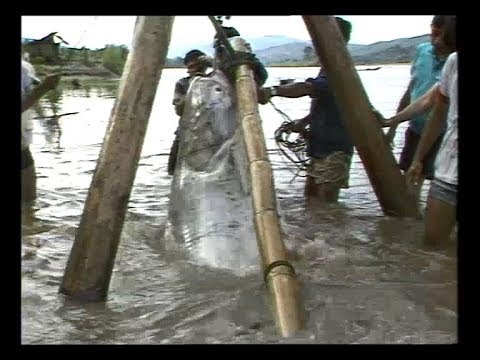 EP016 ส่องโลก ตอน ล่าปลาบึก (10 พ.ค. 2530 ) Catching The Last Giant Catfish In The World