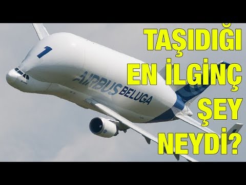 Airbus Beluga; uçak taşıyan uçak!