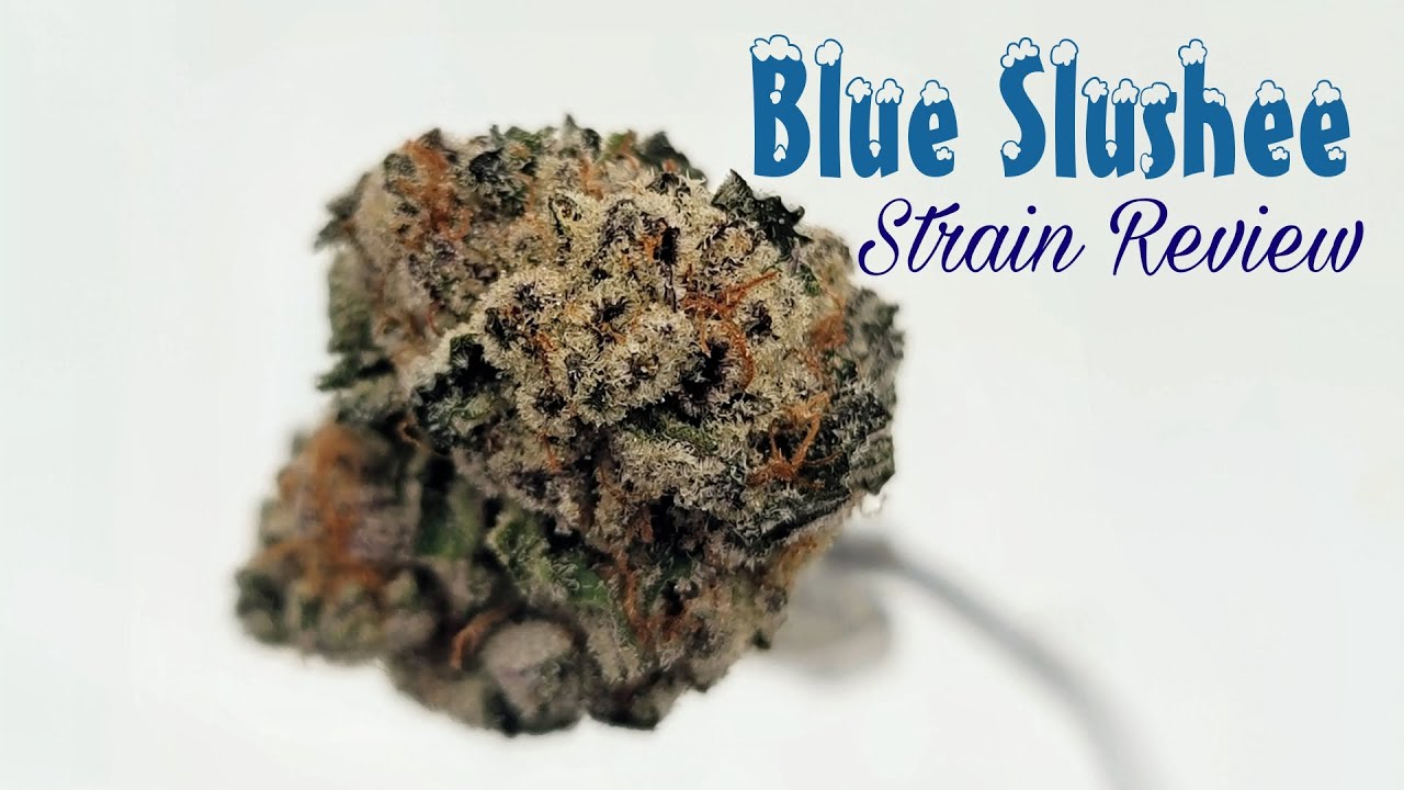 Blue Slushee Strain Review