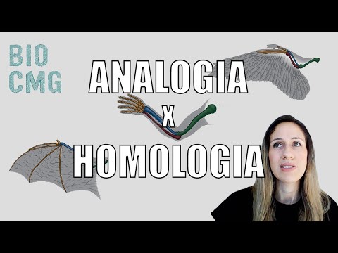Vídeo: O que significa homologia?