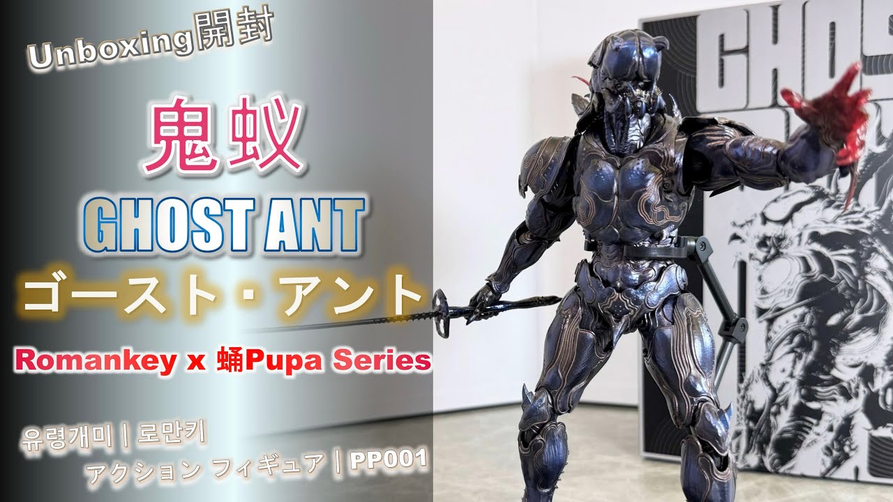 Unboxing開封] 鬼蟻GHOST ANT｜ゴースト・アント｜유령개미｜蛹 Series