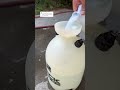 FINALLY got rid of the smell in my area rugs! | Clean pet urine from rugs | Carpet cleaning at home