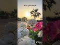 عبدالله مهداوي قالوا وقالوا لكني علي ثقة انشودة روعة