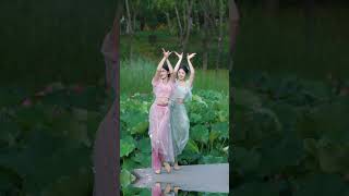 Múa 'Ánh trăng trên ao sen' (荷塘月色) Chinese dance 'Moonlight over the lotus pond'