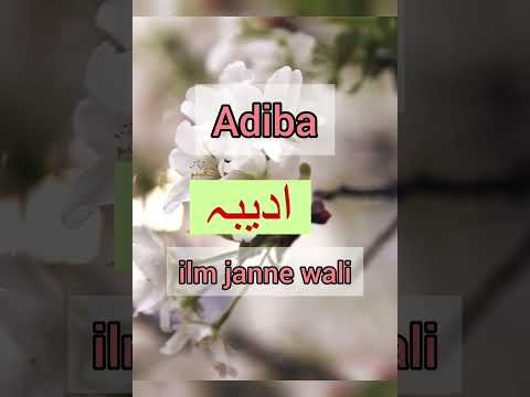 Adiba Name Meaning Islamicstatus Islamicgirlname Status Naat