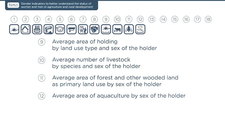 Film 3: Gender indicators to better understand the