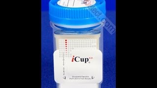 iCup Drug Screen Video Instructions (Procedure)