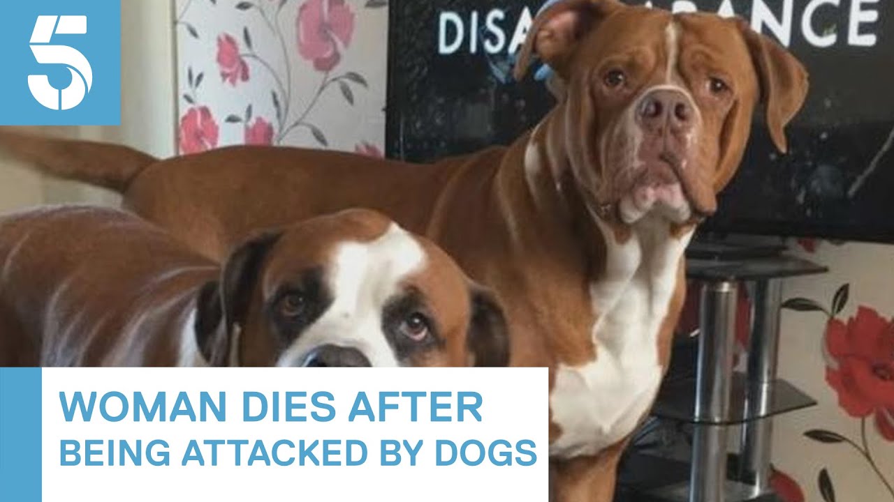 Widnes woman dies in dog attack | 5 News - YouTube