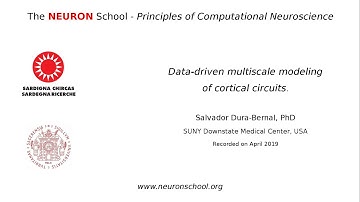 Data-driven multiscale modeling of cortical circuits. - Dr. Salvador Dura Bernal PhD
