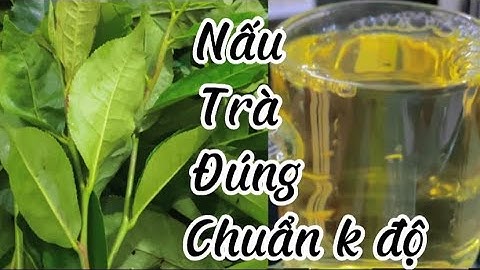 TRÀ XANH KHÔNG ĐỘ : cách làm trà xanh không độ từ lá chè xanh | Duyên Duyên Cooking