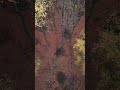 Autumn relaxation with DJI Mini 4 Pro