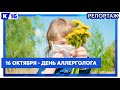 16 октября — День аллерголога