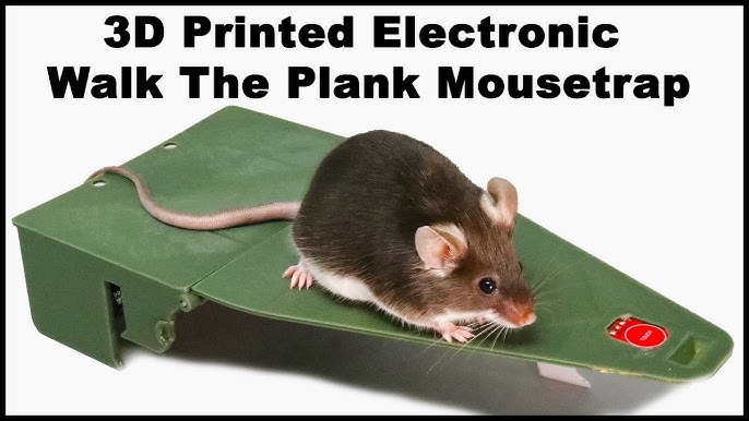 The Incredible You Have Mail - Yet Another World's Best Mouse