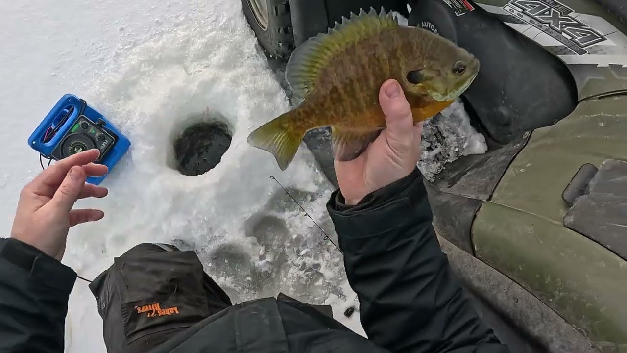 Ice Fishing 2025 Big Bluegill Big Crappie Great Panfish Day YouTube Maxresdefault
